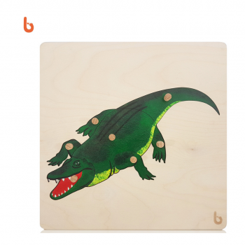 Nessuna immagine impostata 